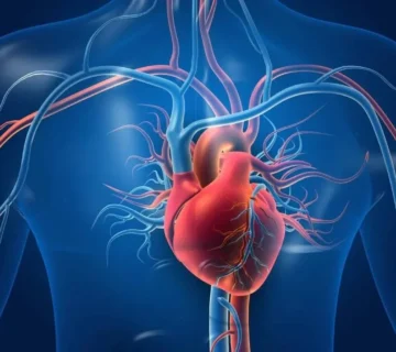 الامراض التي تصيب القلب والاوعية الدموية